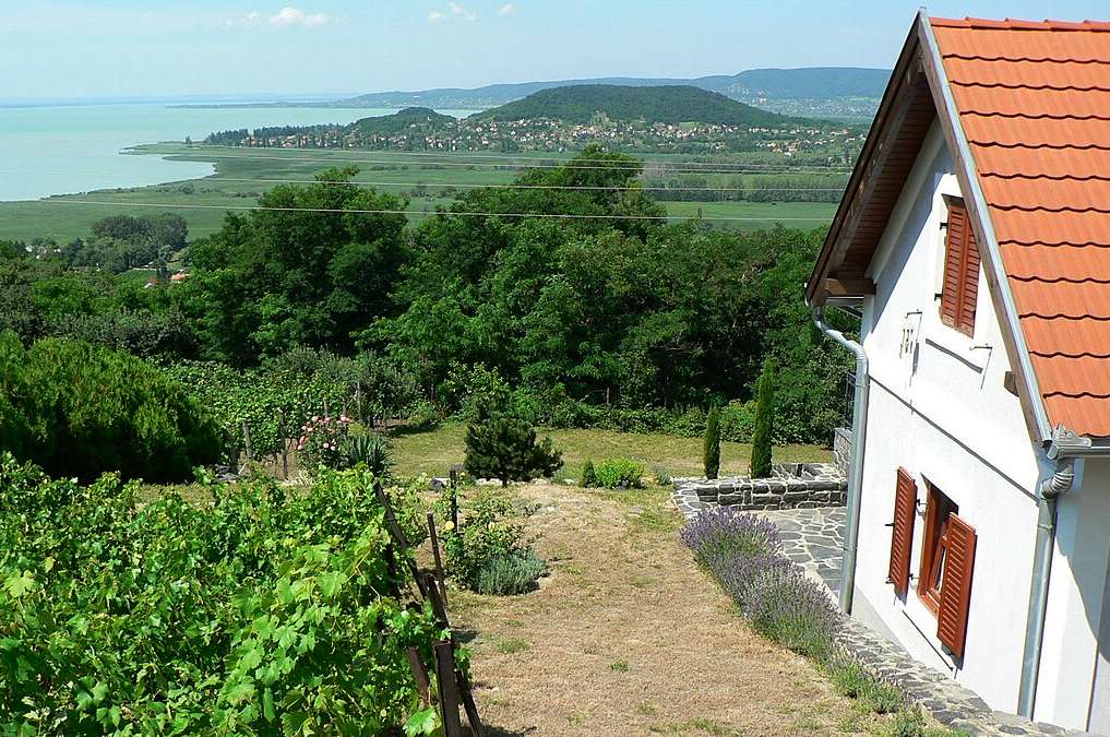Badacsony / Fotó: Solymári - Wikimedia